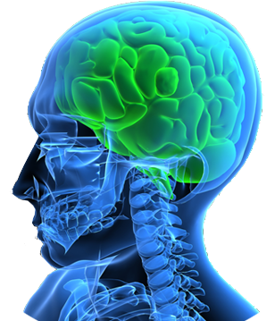 🧠 Neurosurgical E-log